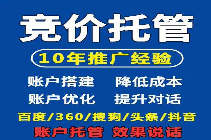 sem托管服务案例：如何实现广告投放精准化